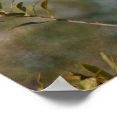 Poster Cardinal de Wax Myrtle (Coin)