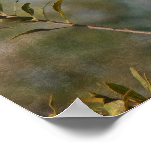 Poster Cardinal de Wax Myrtle (Coin)