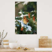 Poster Cardinal du Nord dans l'arbre, Illinois (Cuisine)