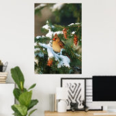 Poster Cardinal du Nord dans l'arbre, Illinois (Bureau à domicile)