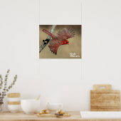 Poster Cardinal Du Nord En Vol (Cuisine)