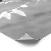 Poster Cardinal Infrared (Coin)