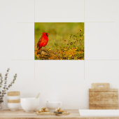 Poster Cardinal mâle sur une bûche (Cuisine)