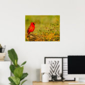 Poster Cardinal mâle sur une bûche (Bureau à domicile)