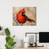 Poster Cardinal masculin (Bureau à domicile)