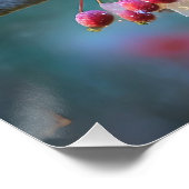 Poster Cardinal masculin en fleurs de cerisiers au clair  (Coin)