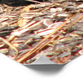 Poster Cardinal Mom & Baby (Coin)