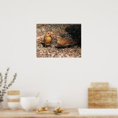 Poster Cardinal Mom & Baby (Cuisine)