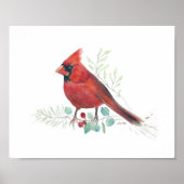 Poster Cardinal rouge Aquarelle (Devant)