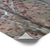 Poster Cardinal rouge d'hiver dans le Berry Tree (Coin)