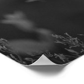 Poster Cardinal rouge du Nord - Photographie d'oiseaux (Coin)