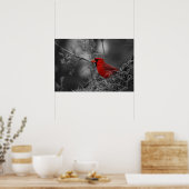 Poster Cardinal rouge du Nord - Photographie d'oiseaux (Cuisine)