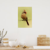 Poster Cardinal rouge femelle chanteur (Cuisine)
