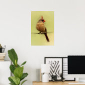 Poster Cardinal rouge femelle chanteur (Bureau à domicile)