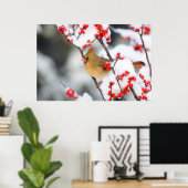 Poster Cardinal rouge femelle sur Ilex verticillé (Bureau à domicile)