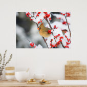 Poster Cardinal rouge femelle sur Ilex verticillé (Cuisine)