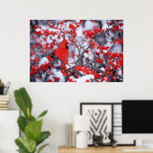 Poster Cardinal rouge mâle, Hiver, IL (Bureau à domicile)