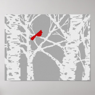 Poster Cardinal sur branche de bouleau. Affiche.