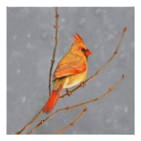 Cardinal sur la peinture de branche - Art original
