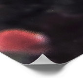 Poster Cardinalfish Portrait (Coin)