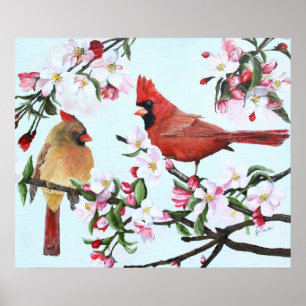 Poster Cardinals and Apple Blossoms