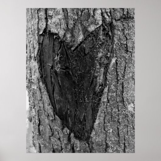 Poster Cardiologie des arbres (Devant)