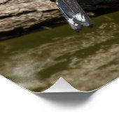 Poster Carduelis carduelis (Coin)