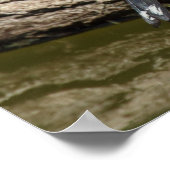 Poster Carduelis carduelis (Coin)