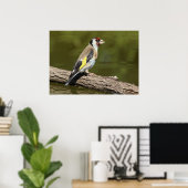 Poster Carduelis carduelis (Bureau à domicile)