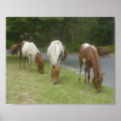 Poster Carefree Ponies (Devant)