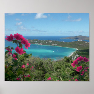 Poster Caribbean Paradise Tropical Beach Photo