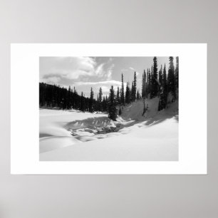 Poster Cariboos : Brook pacifique