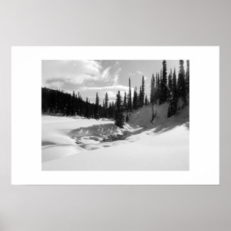 Poster Cariboos : Brook pacifique