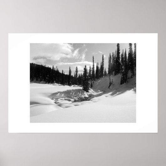 Poster Cariboos : Brook pacifique (Devant)