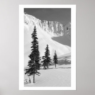 Poster Cariboos : Petite diapositive