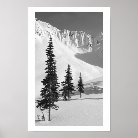 Poster Cariboos : Petite diapositive (Devant)