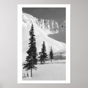 Poster Cariboos : Petite glissière
