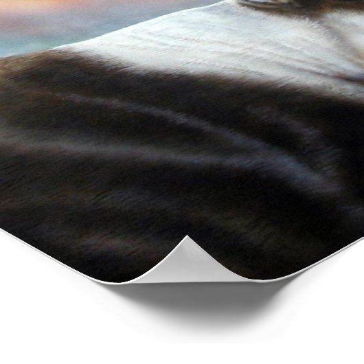 Poster Caribou (Coin)