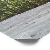 Poster Caribou de l'Alaska Imprimer (Coin)