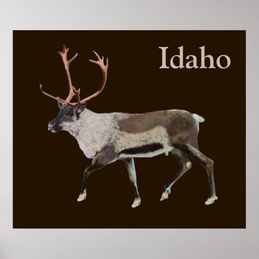 Poster Caribou des bois (Devant)