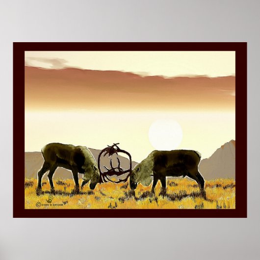 Poster Caribou Duel (Devant)