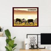 Poster Caribou Duel - Canada (Bureau à domicile)