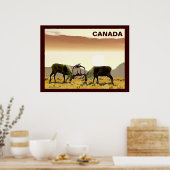 Poster Caribou Duel - Canada (Cuisine)