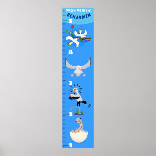 Poster Caricature d'oiseaux amusant mignon graphique de c (Devant)