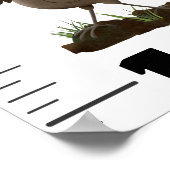 Poster Caricature d'oiseaux amusants (Coin)