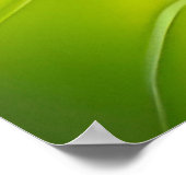 Poster Caricature souriante Ladybug assise sur la fleur (Coin)