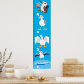 Poster Caricatures d'oiseaux drôles (Cuisine)