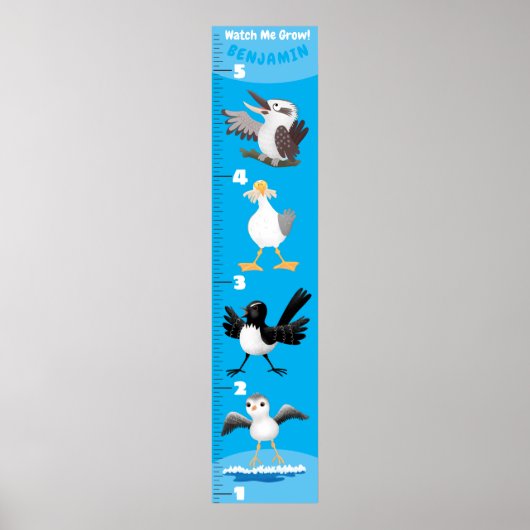 Poster Caricatures d'oiseaux drôles (Devant)