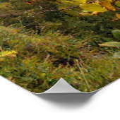 Poster Carinthie, Autriche (Coin)