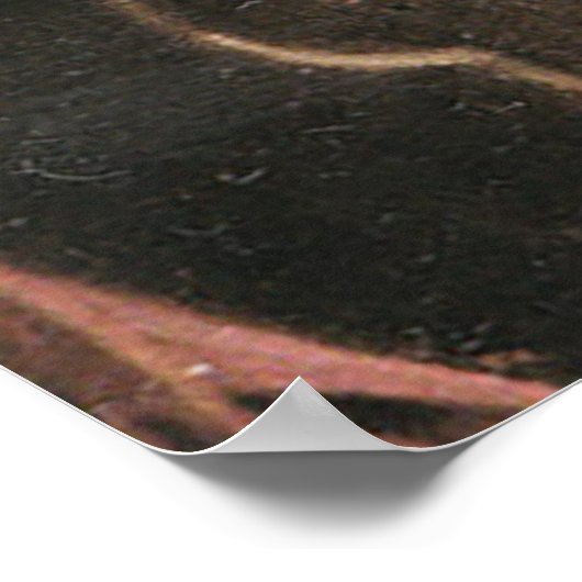 Poster Carl Spitzweig (Coin)